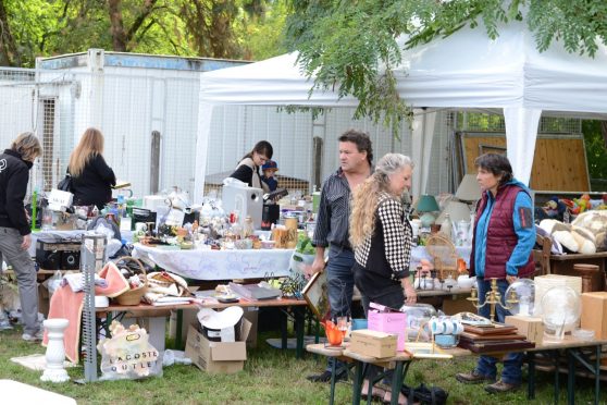 Stands à l'évènement brocante de la SPA de Haguenau