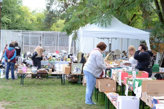 Stands à l'évènement brocante de la SPA de Haguenau