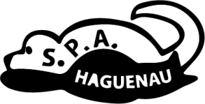 logo SPA de Haguenau transparent