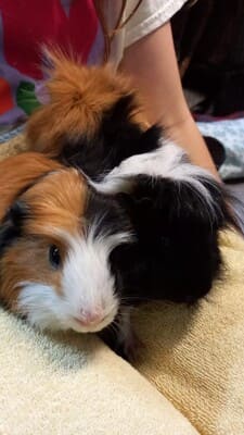 FRED & JO 2
