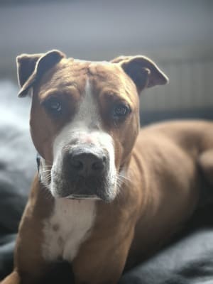 Amy